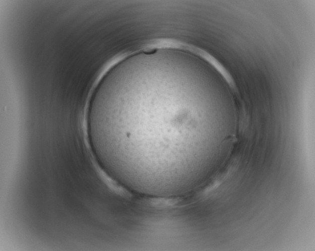 X0000113740861200910071044