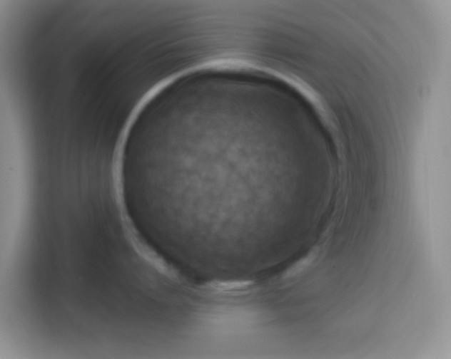 X0000113740864200910071045