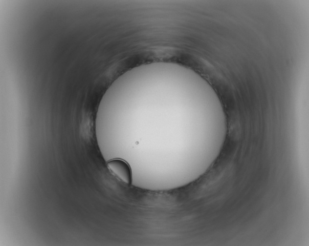 X0000113740866200910071044