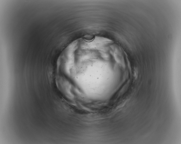 X0000113740867200910071044