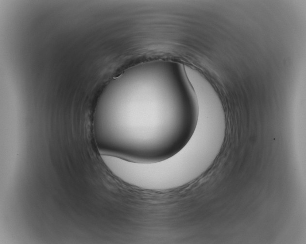 X0000113740868200910071044