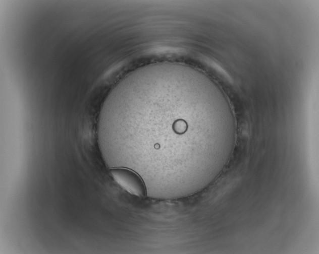 X0000113740869200910071044