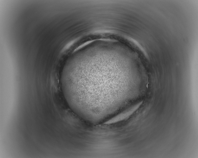 X0000113740871200910071044