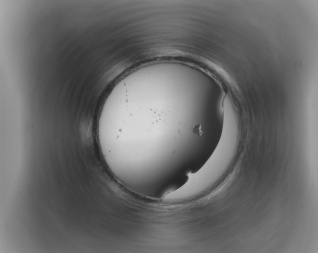 X0000113740873200910071044