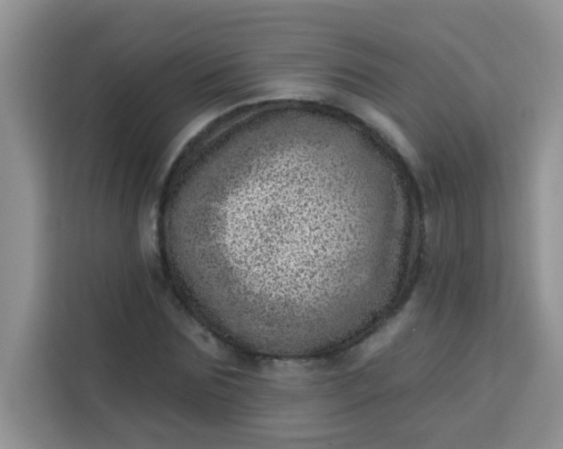 X0000113740875200910071044