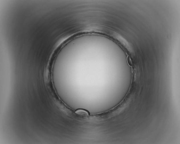 X0000113740876200910071044