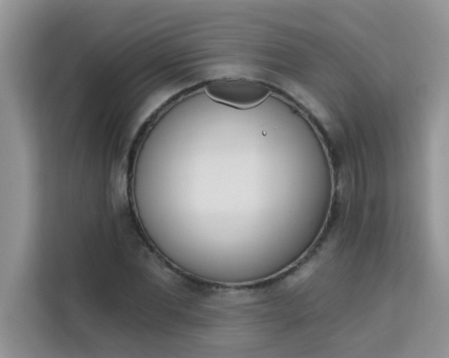 X0000113740877200910071044