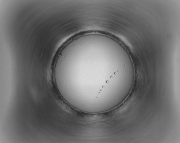 X0000113740879200910071044