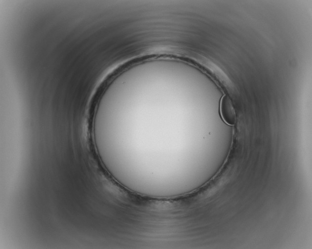 X0000113740880200910071044