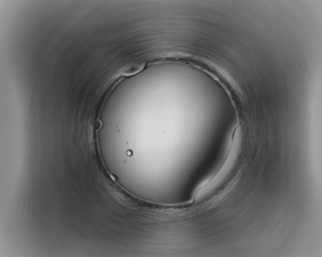 X0000113740881200910071044