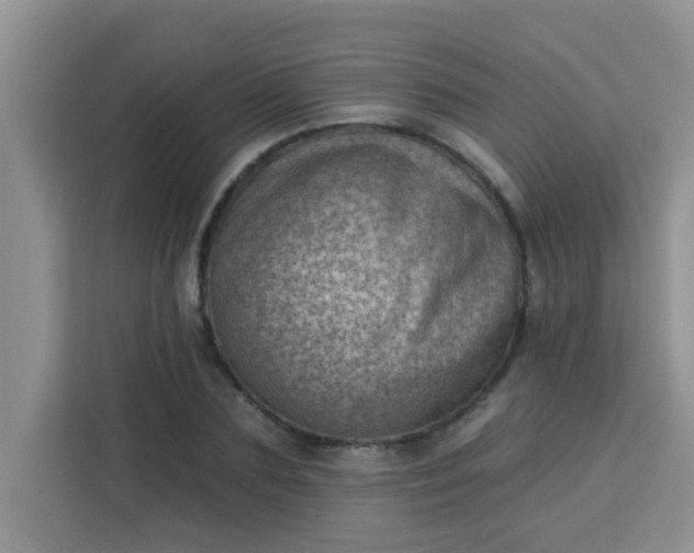 X0000113740883200910071044