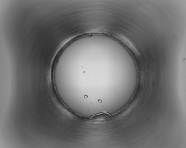 X0000113740884200910071044