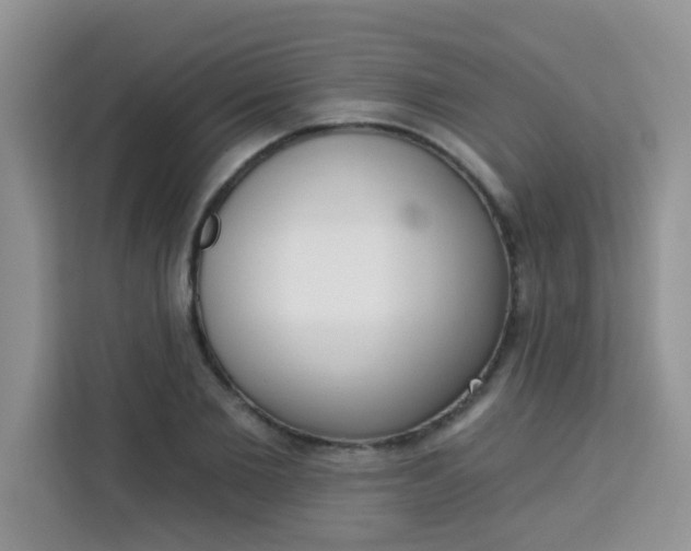 X0000113740885200910071044