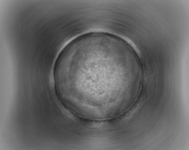 X0000113740887200910071044