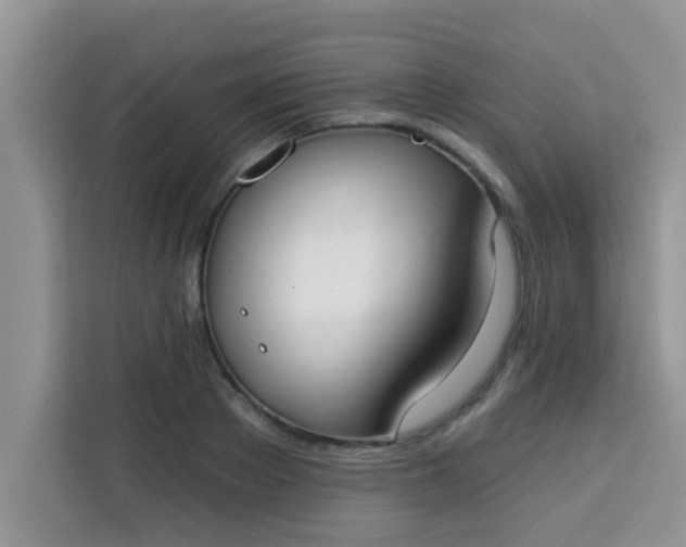 X0000113740889200910071044