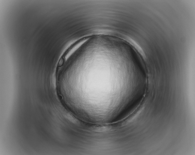 X0000113740891200910071044