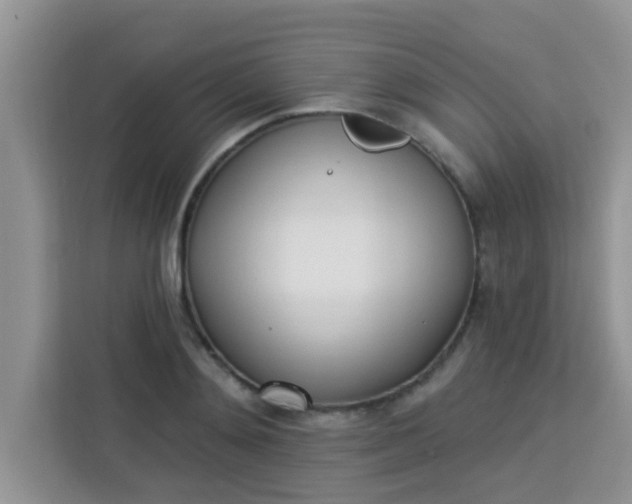 X0000113740892200910071044