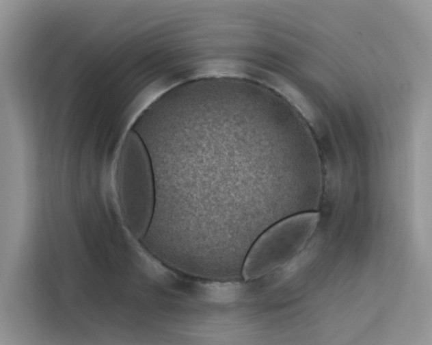 X0000113740893200910071044