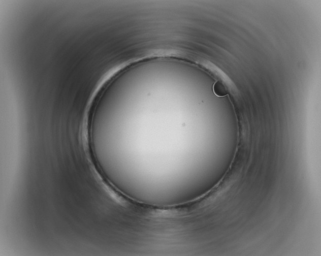 X0000113740894200910071044