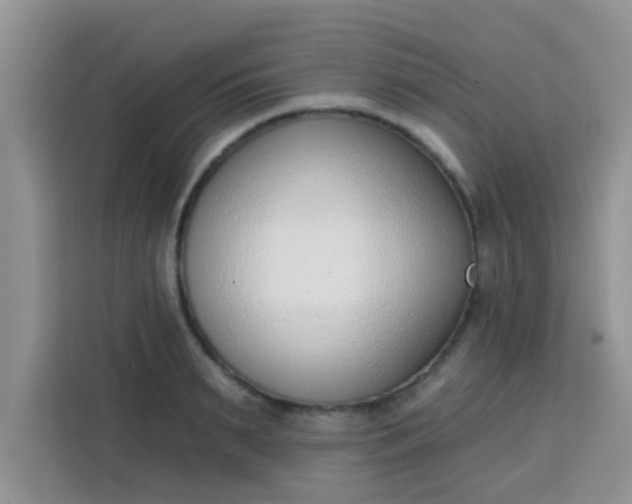 X0000113740895200910071044