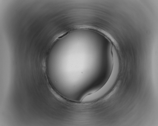 X0000113740897200910071043