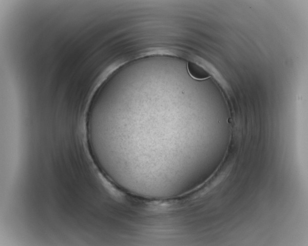 X0000113740898200910071043