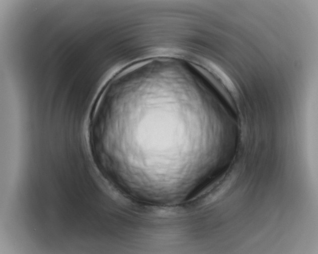 X0000113740899200910071043