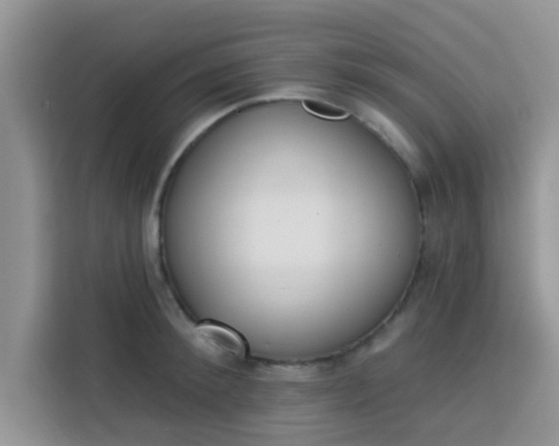 X0000113740900200910071043