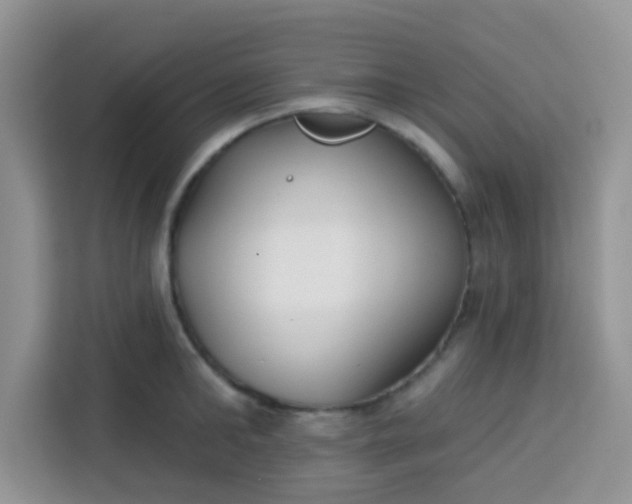 X0000113740902200910071043