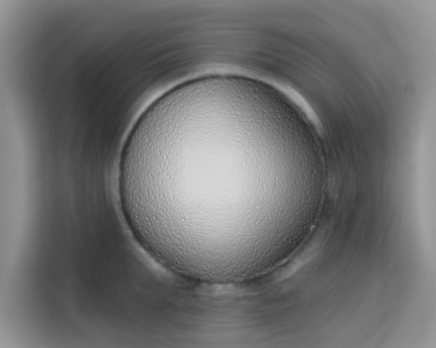 X0000113740903200910071043