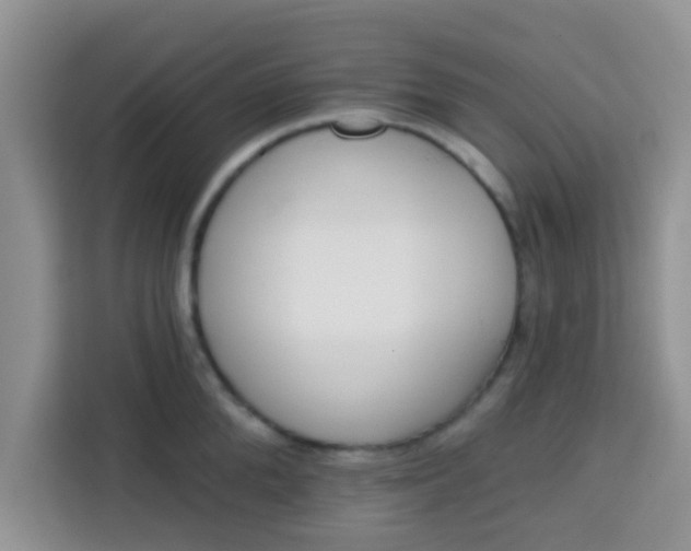 X0000113740904200910071043