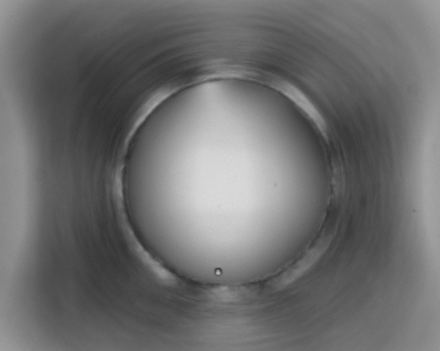 X0000113740906200910071043