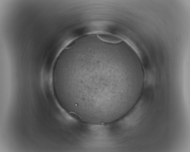 X0000113740909200910071043