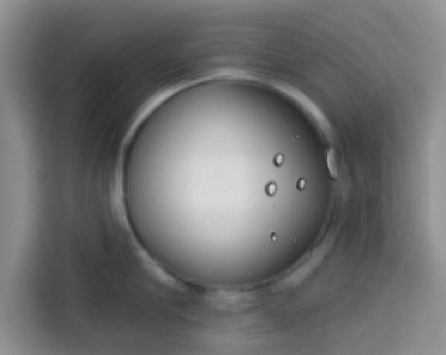 X0000113740910200910071043