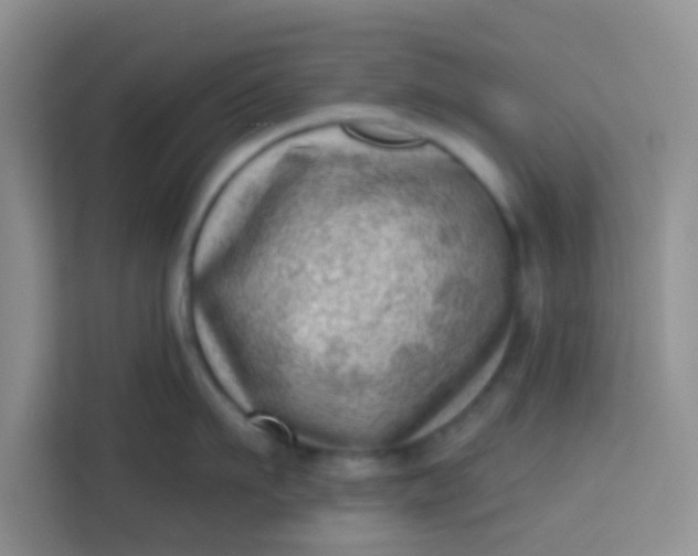 X0000113740911200910071043