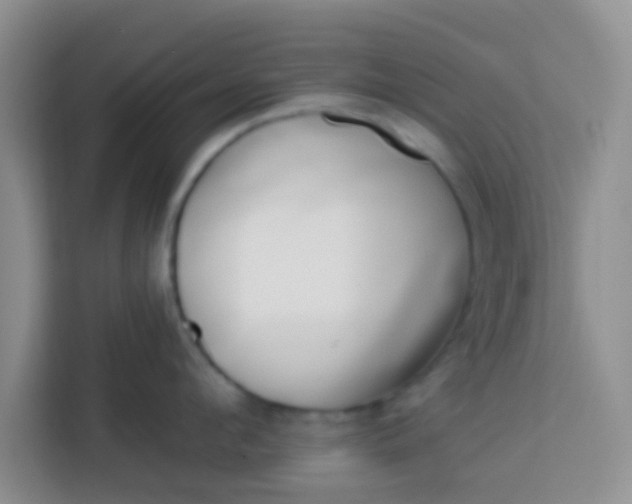 X0000113740912200910071043