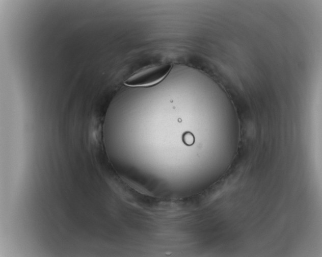 X0000113740914200910071043