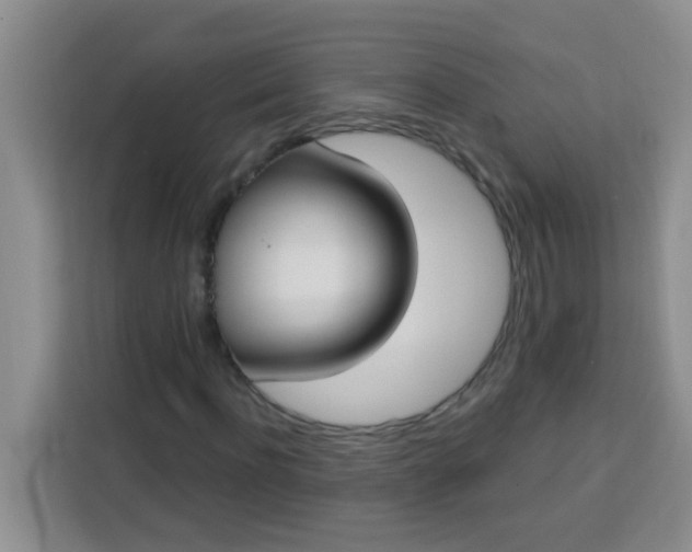 X0000113740916200910071043