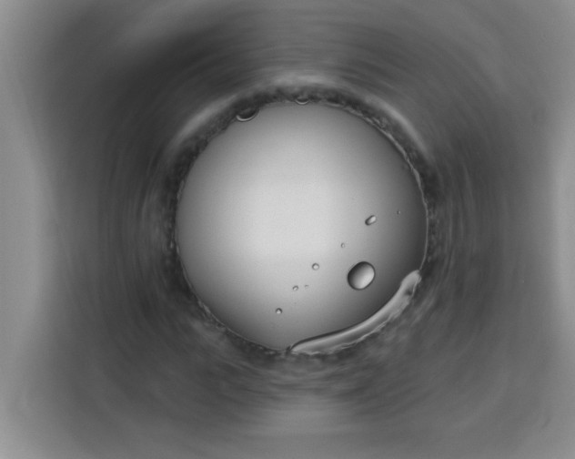 X0000113740919200910071043