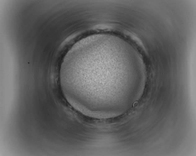 X0000113740920200910071043