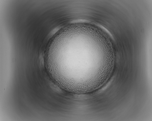 X0000113740921200910071043