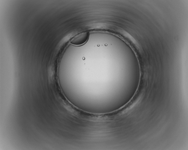 X0000113740922200910071043