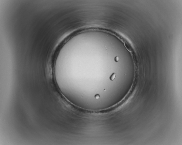 X0000113740925200910071043