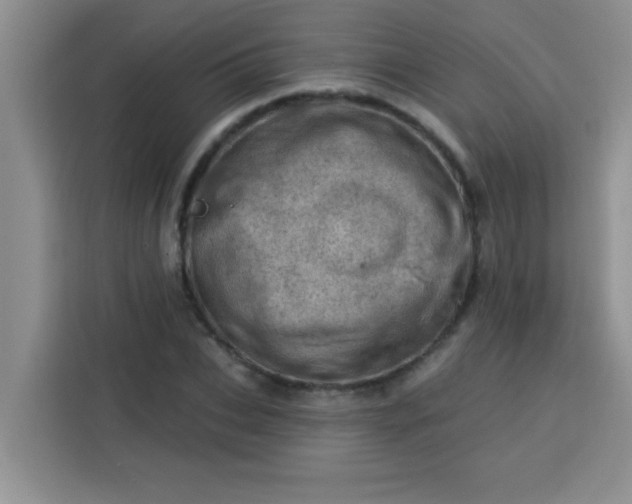 X0000113740927200910071043