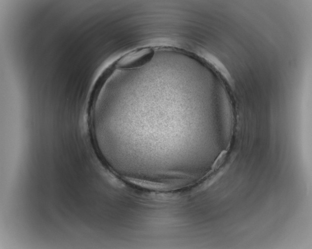 X0000113740928200910071043