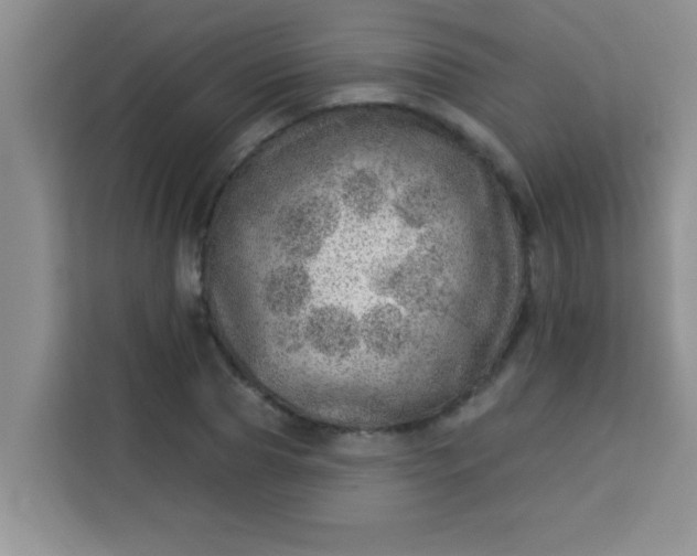 X0000113740929200910071043