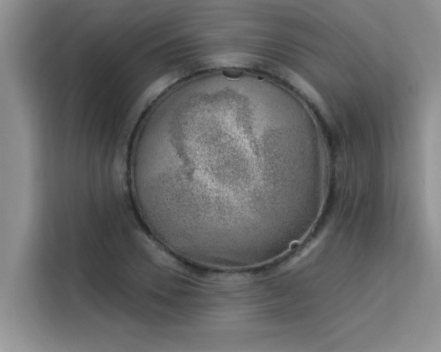 X0000113740930200910071043