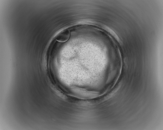 X0000113740931200910071043