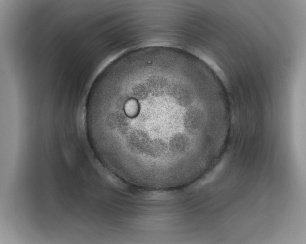 X0000113740933200910071043