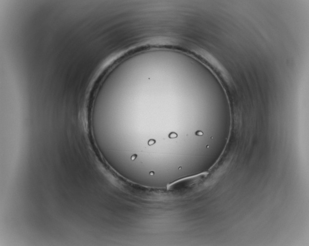 X0000113740935200910071043